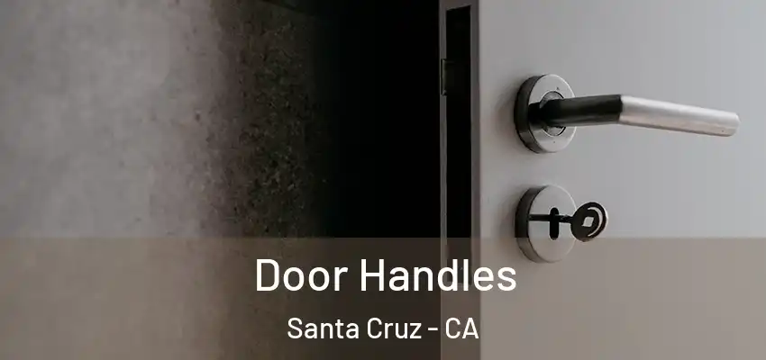  Door Handles Santa Cruz - CA