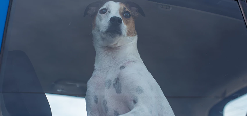 Car Lockout Solutions in Santa Cruz, California