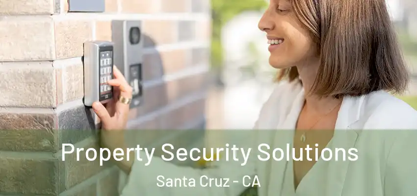  Property Security Solutions Santa Cruz - CA